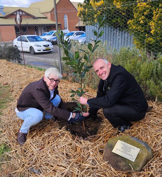 Goulburn Community Garden volunteer Barbara Lewis helps councillor Daniel Strickland plant the commemorative Bay tree at the garden to mark its 10th anniversary. Picture taken by Heather Pearsall