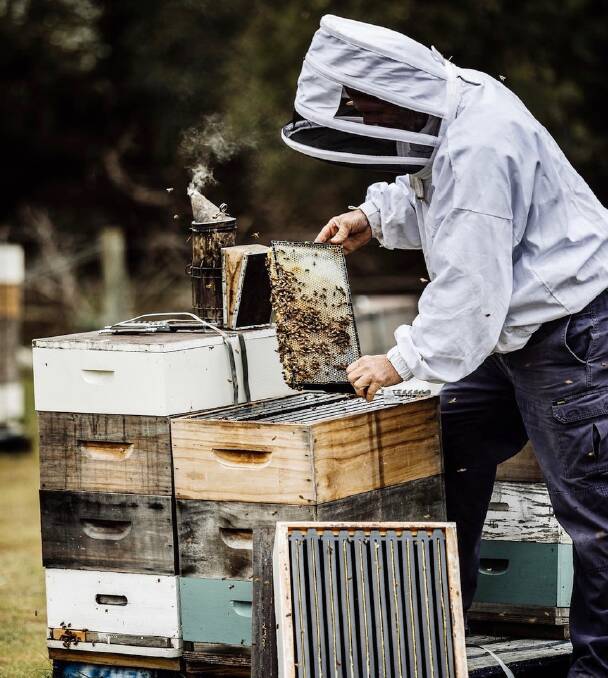 Food and wine producers will spice up the Southern Highlands Food and Wine Festival at the end of February. Picture: Supplied 