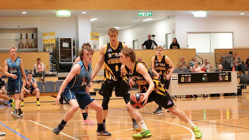 Tigers' Eli Matic looking to attack the paint against Goulburn. Picture by Greg Turner 