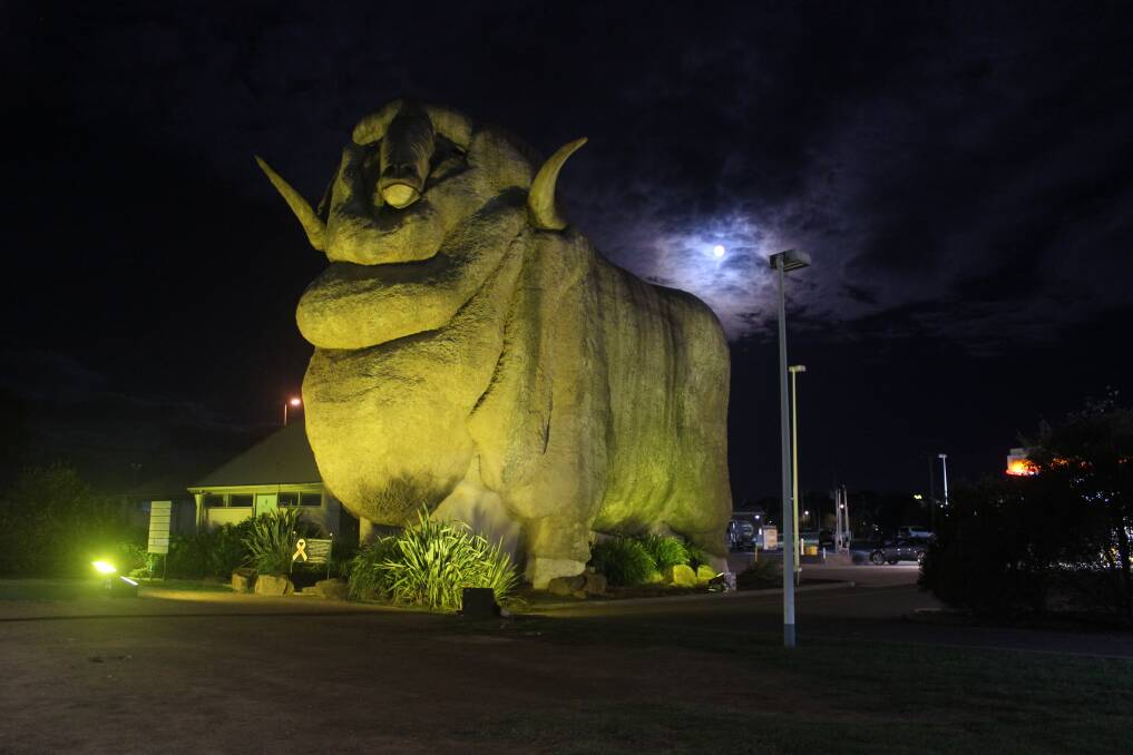 Joining other landmarks around NSW, the Big Merino was lit up yellow for National Road Safety week. Picture by Sophie Bennett.