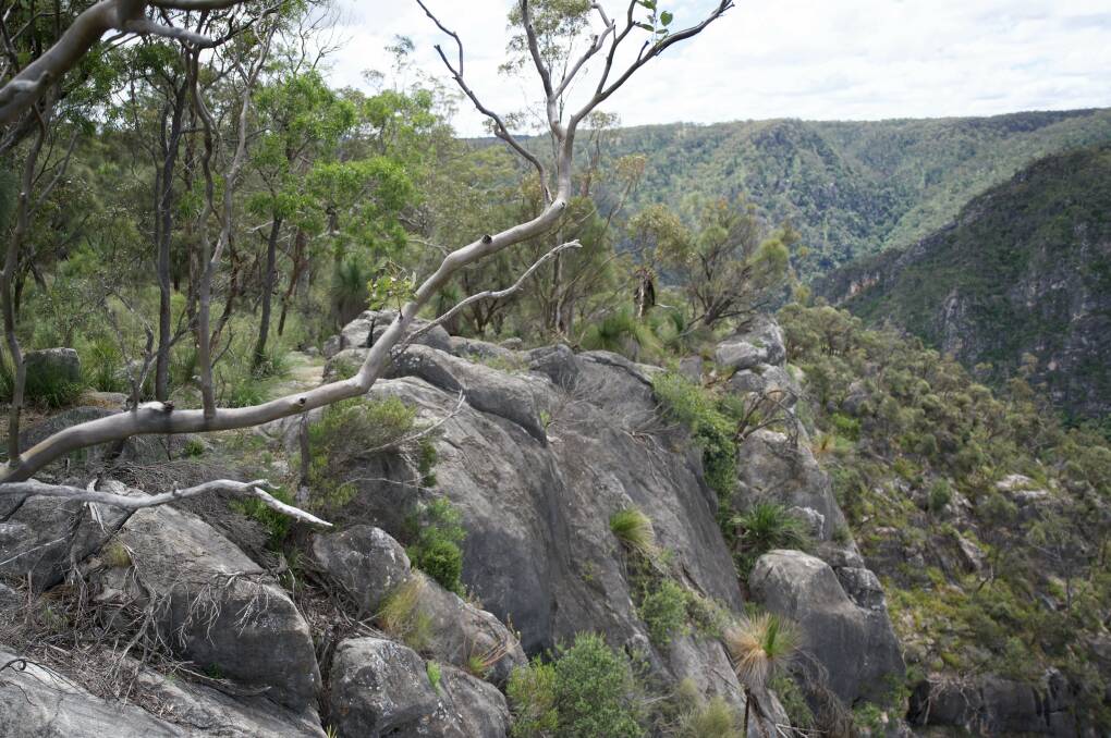 Bungonia views. Picture by Susan Maloney/DPE
