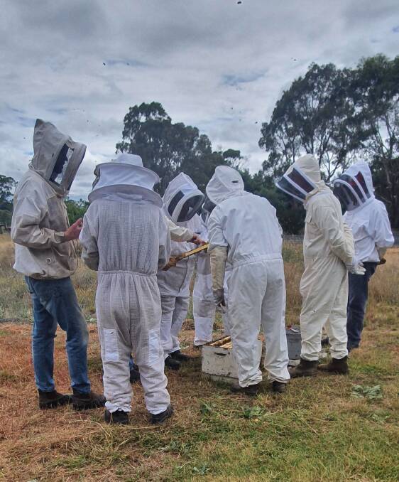 Goulburn beekeepers around a hive. Photo by Goulburn District Beekeeping Club