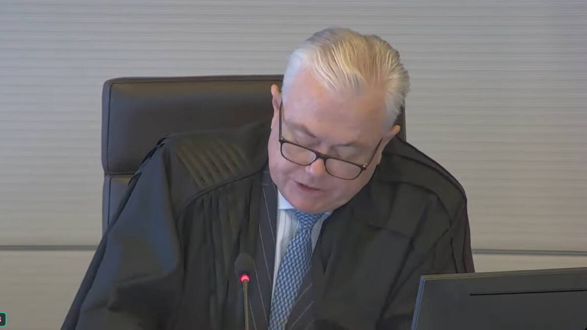 Justice Michael Lee delivering a costs judgment in the case. Picture screenshot