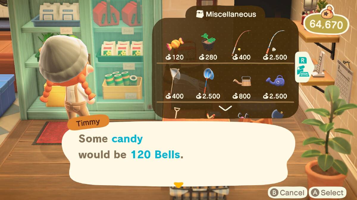 A store in Animal Crossing offers everything from candy to fishing rods. Picture by animalcrossing/X