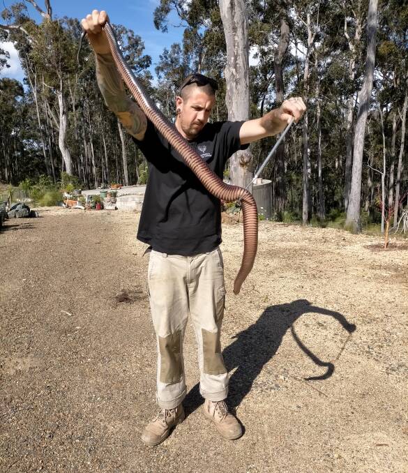 A big snake given Brendan Smith stands 6' 5" Photo: Brendan Smith