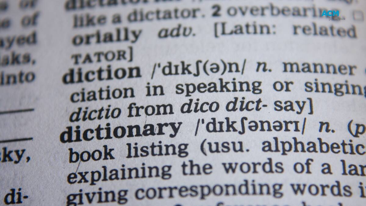 Situationship, Barbiecore and spicy cough are among the 3,000 new entries in the latest update to the Macquarie Dictionary. Picture via Canva
