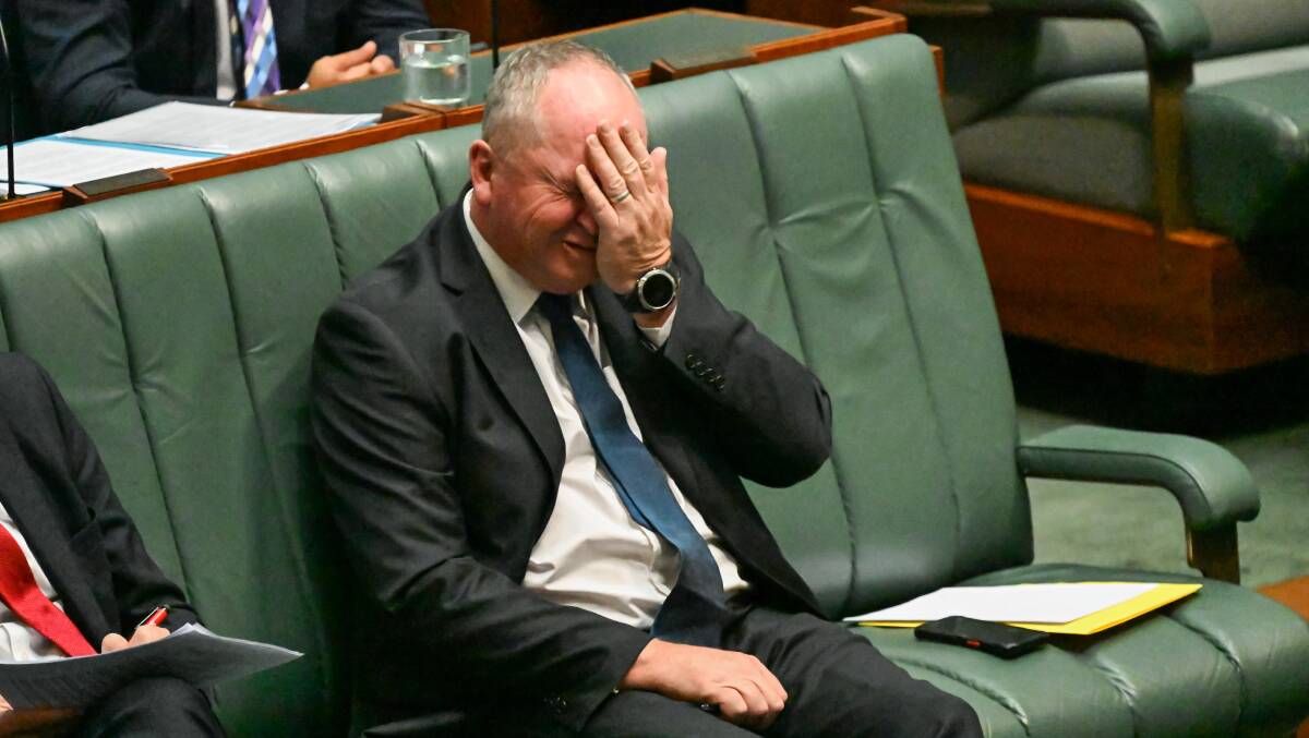 Nationals MP Barnaby Joyce in Parliament during Question Time on February 13. Picture by Elesa Kurtz