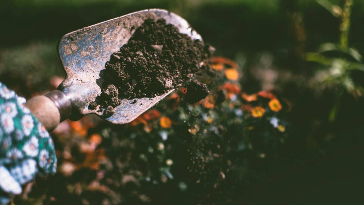 Learn about all things soil this week. Image by Pexels. 