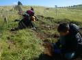 Local students getting their hands dirty in 'Action for Change' program. Picture supplied