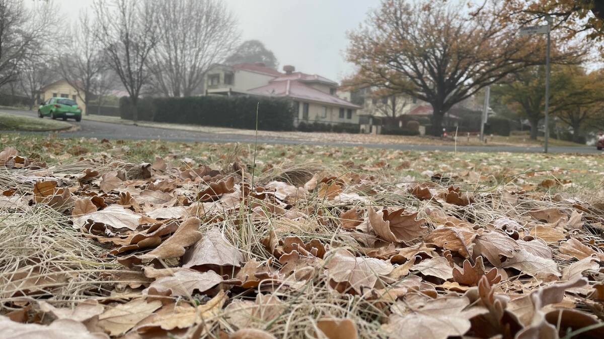 Frost in the streets of Canberra. Picture by Lucy Arundell