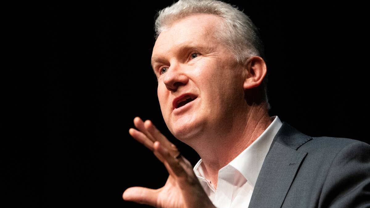 Federal Arts Minister Tony Burke, who will release the full national cultural policy on Monday. Picture by Elesa Kurtz