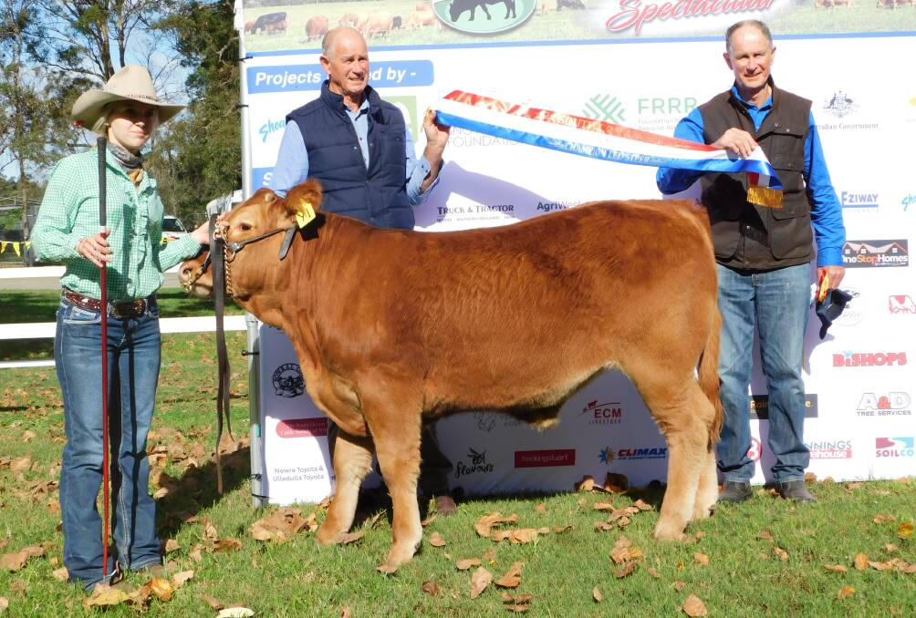 Kirra McCaughtrie, Narooma High School, breeders David and John Cullen, Bemboka, with the school steer spectacular champion. Picture by Hayley Warden