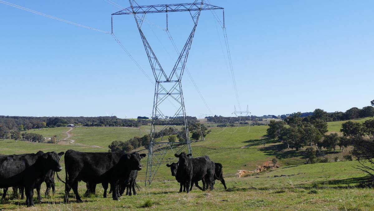 A plan to upgrade powerlines could help farmers in the long run. File picture.