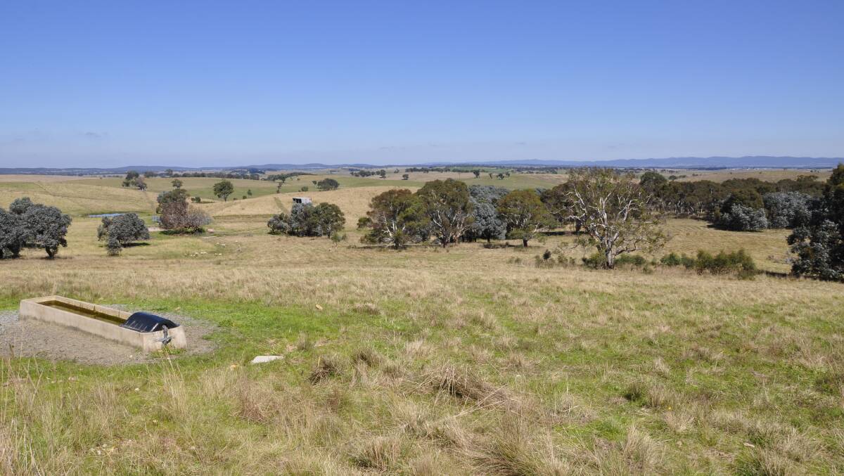 A large area stretching over to Windellama Road from Ann and Stan Moore's property, off Kooringaroo Road, would be covered in panels under Lightsource BP's plans for the Gundary solar farm. Picture by Louise Thrower.