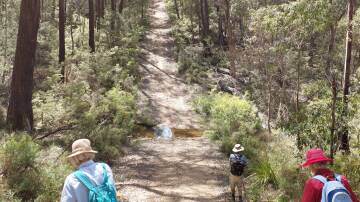 Australian Plant Society Goulburn branch members walking in the Joadja Reserve earlier this year. Picture supplied.