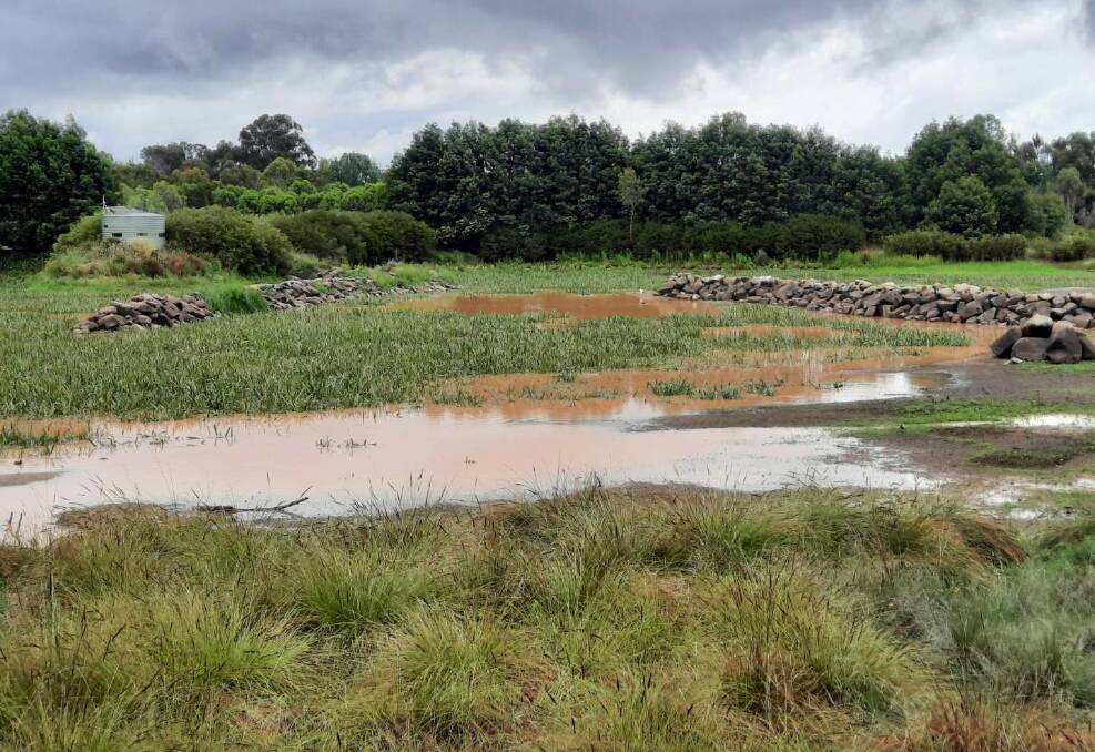 A thick layer of silt settled over the Goulburn wetlands following the heavy rain in late November. Picture by Heather West.
