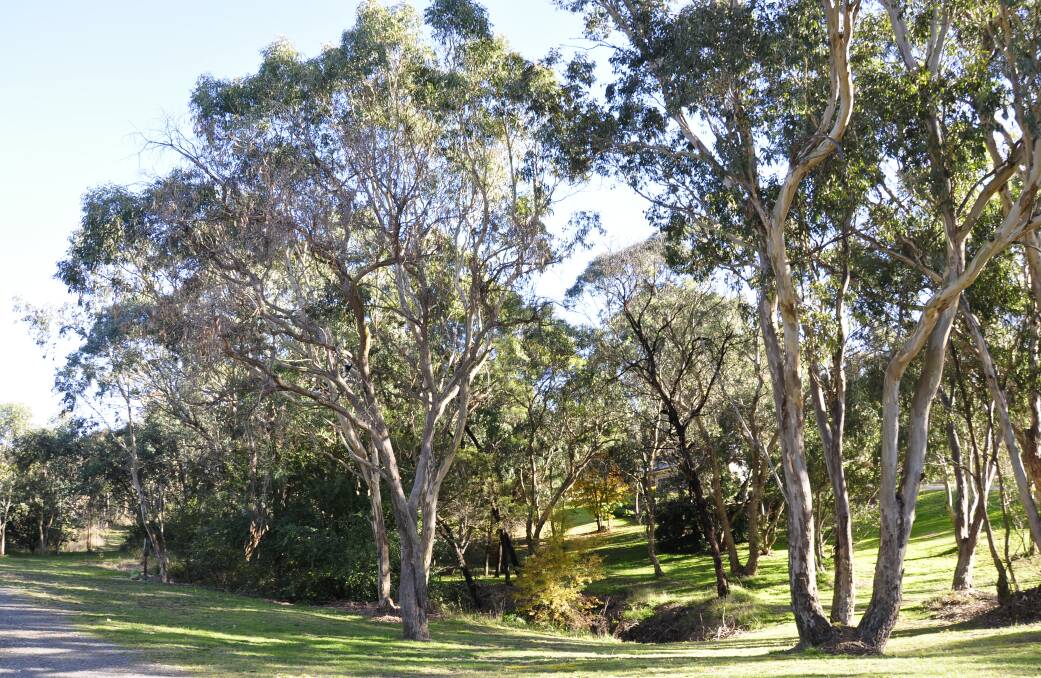 Some areas near the West Goulburn Bushland Reserve retain native vegetation but nearby in Carr Street, residential development has thwarted attempts to create a canopy, a study concludes. Picture by Louise Thrower. 