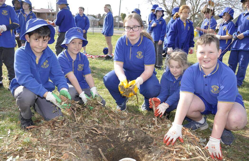 Goulburn South students dig in for National Tree Day | Photos ...