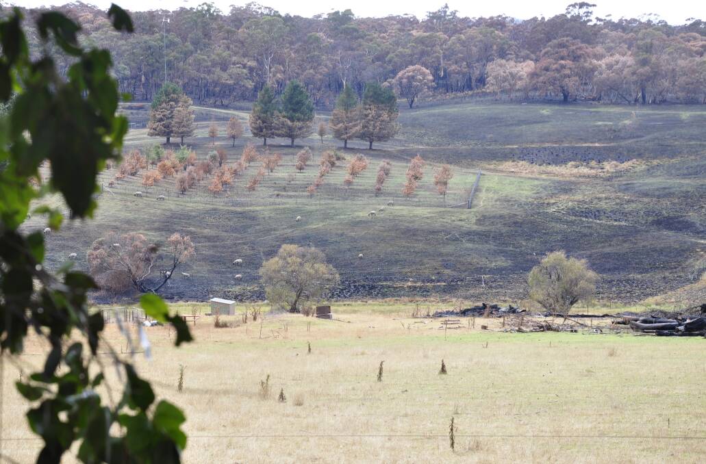 The Curraweela fire near Taralga damaged burnt pasture and infrastructure, including rural addressing plates. Picture by Louise Thrower. 