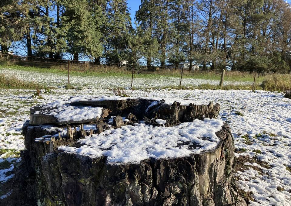 Overnight snow on Katrina and Andrew Nixon's property was melting away by Monday morning. Picture by Katrina Nixon. 