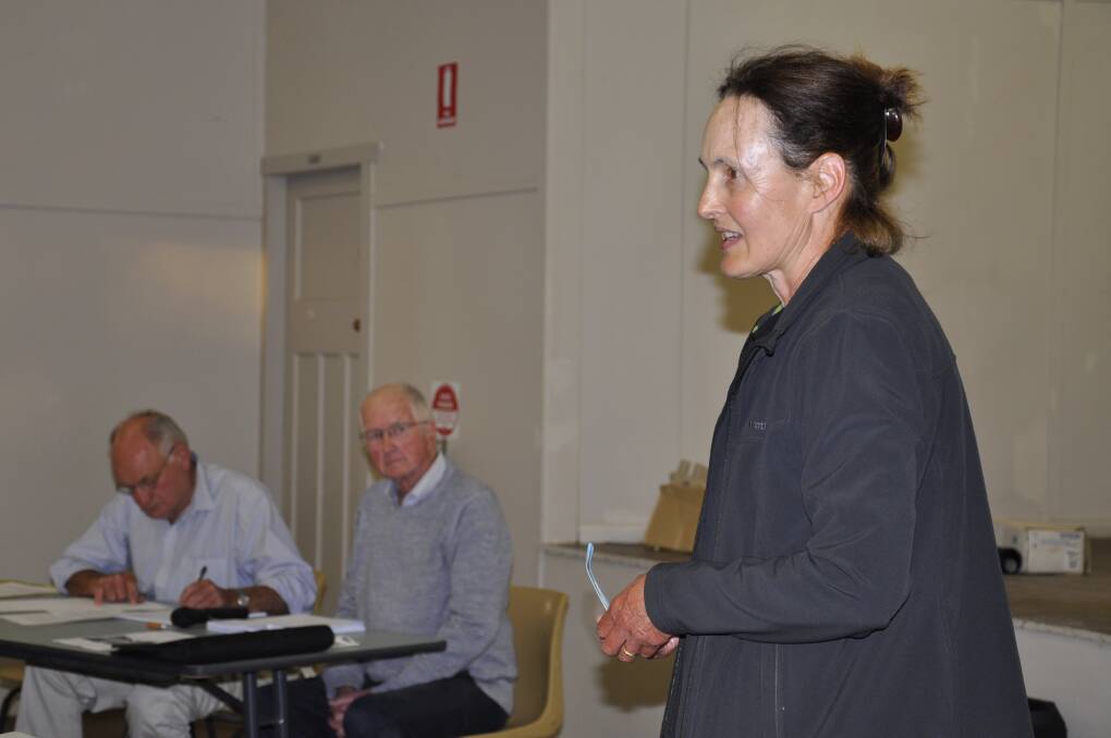 Andrea Strong argues a Senate Inquiry into the government's Rewiring the Nation plan, including the HumeLink transmission project, is needed to scrutinise impacts and costings. Picture by Louise Thrower.