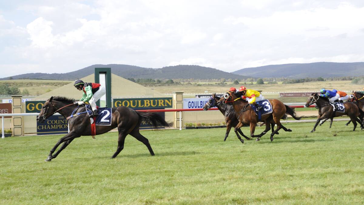 Goulburn District Racing Club trainers will have access to 80 new training boxes under an agreement with Racing NSW, endorsed at a meeting on Tuesday. Picture supplied.