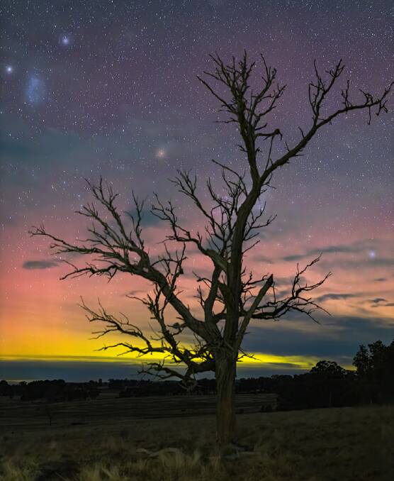 Michael Lees awaited just the right moment to capture this bush landscape, set against the Aurora Australis. Picture by Michael Leees.