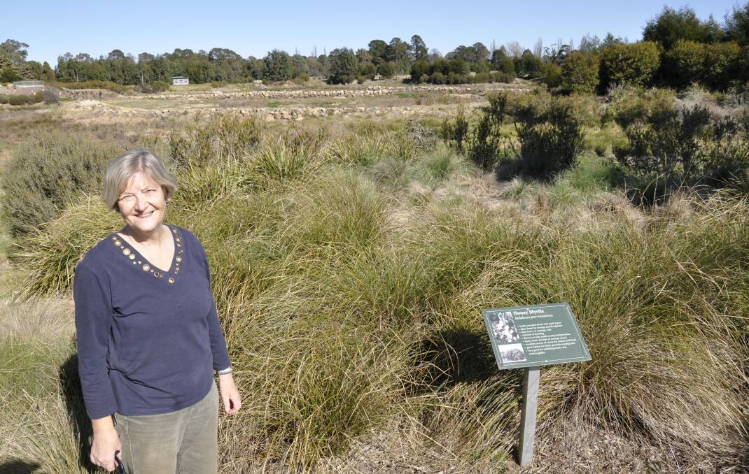 Heather West is president of FROGS Landcare. Picture by Louise Thrower.