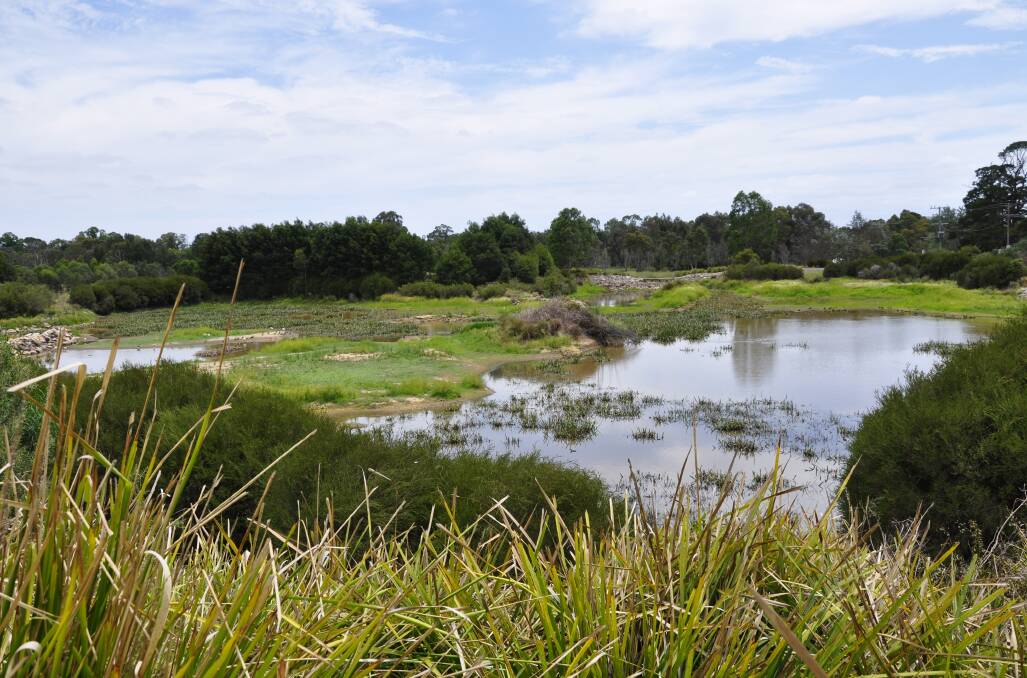 The Goulburn wetlands is a tourist attraction drawing hundreds of people to the city, says TGG. Picture by Louise Thrower.