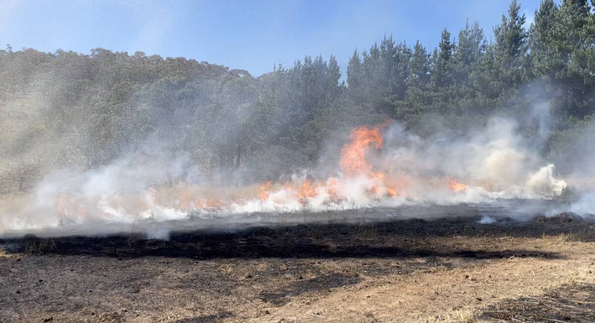 The Curraweela fire rushed towards a pine plantation, fuelled by strong winds on March 16. Picture by Peter Horch.
