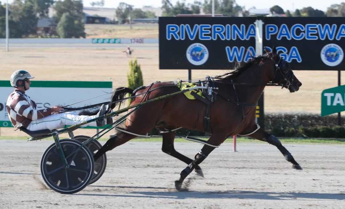 Extreme Sea produced a late flourish to give Goulburn reinsman Brad Hewitt a feature double at Riverina Paceway on Sunday. Picture by Tom Dennis