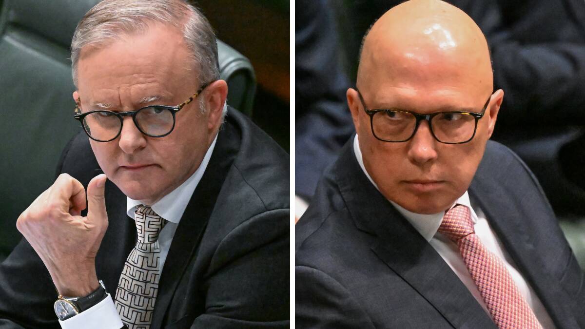 Prime Minister Anthony Albanese should take Opposition Leader Peter Dutton's views to the polls. Pictures by Elesa Kurtz