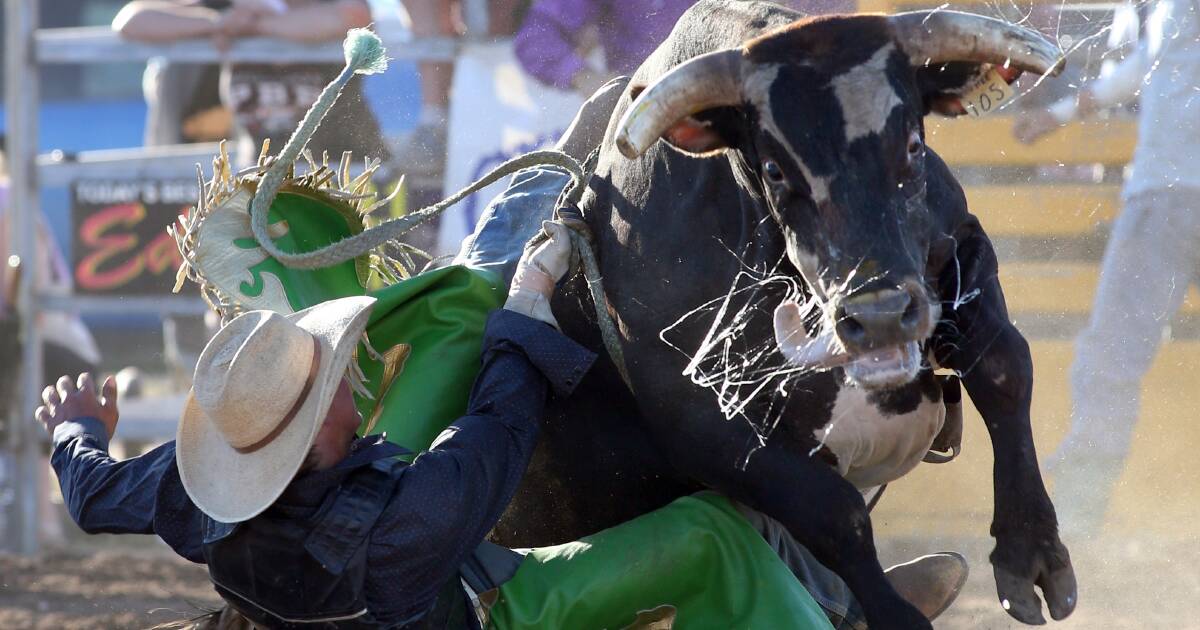 Rodeo Rider Left With Shocking Facial Injuries After Being Struck By Bull S Horn Goulburn Post