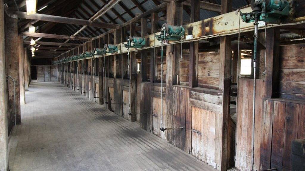 The circa 1906 16-bay woolshed located at Funny Hill, which will go under the hammer in December. 