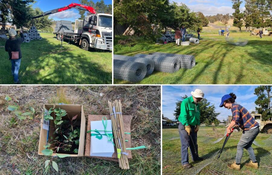 A working bee in May helped Landcare distribute 400 native trees to 18 landholders thanks to a grant from the Biala Wind Farm. 