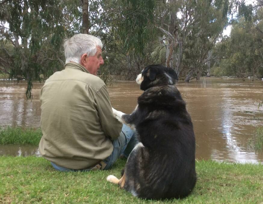 Pip Perry and dog Mally watch the rising flood waters in Forbes. Conditions like those faced in Forbes have driven the postponement of the Innovation in Ag gala. Picture by Sally Perry.