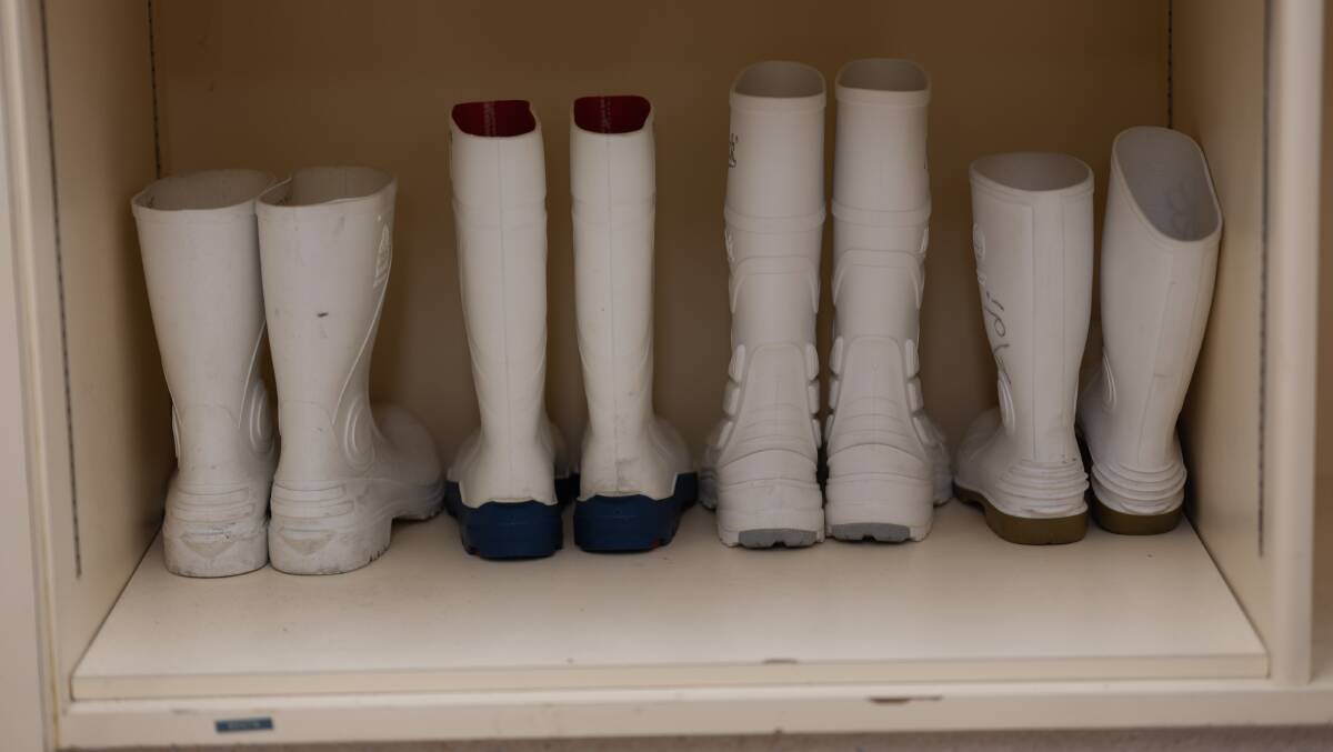 It's one of the few places in the hospital where gumboots are required. Picture by Gary Ramage