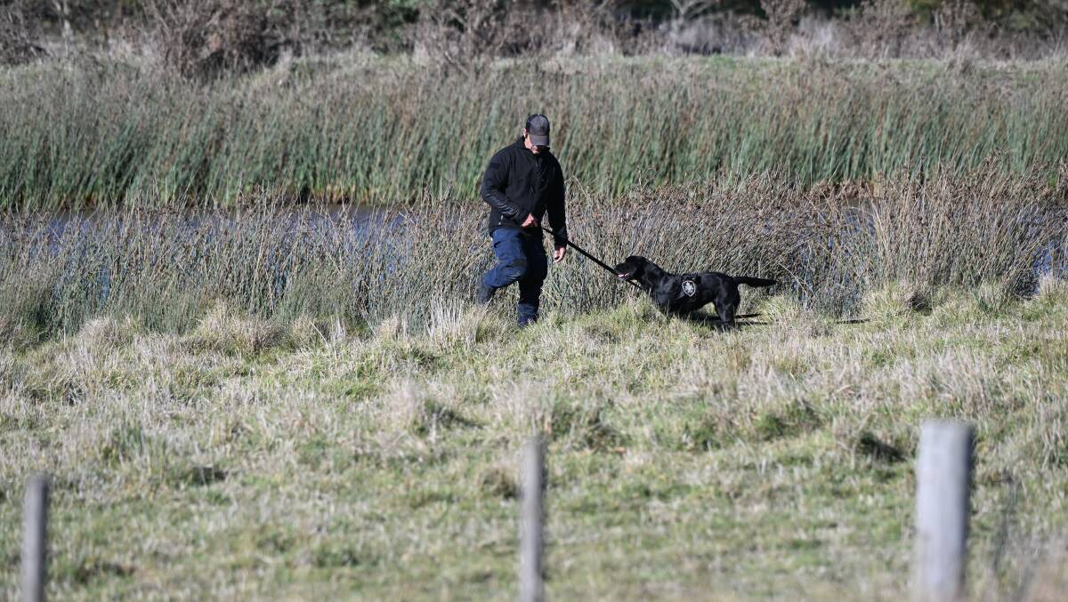 Police dogs were seen being used in the area. Picture by Lachlan Bence