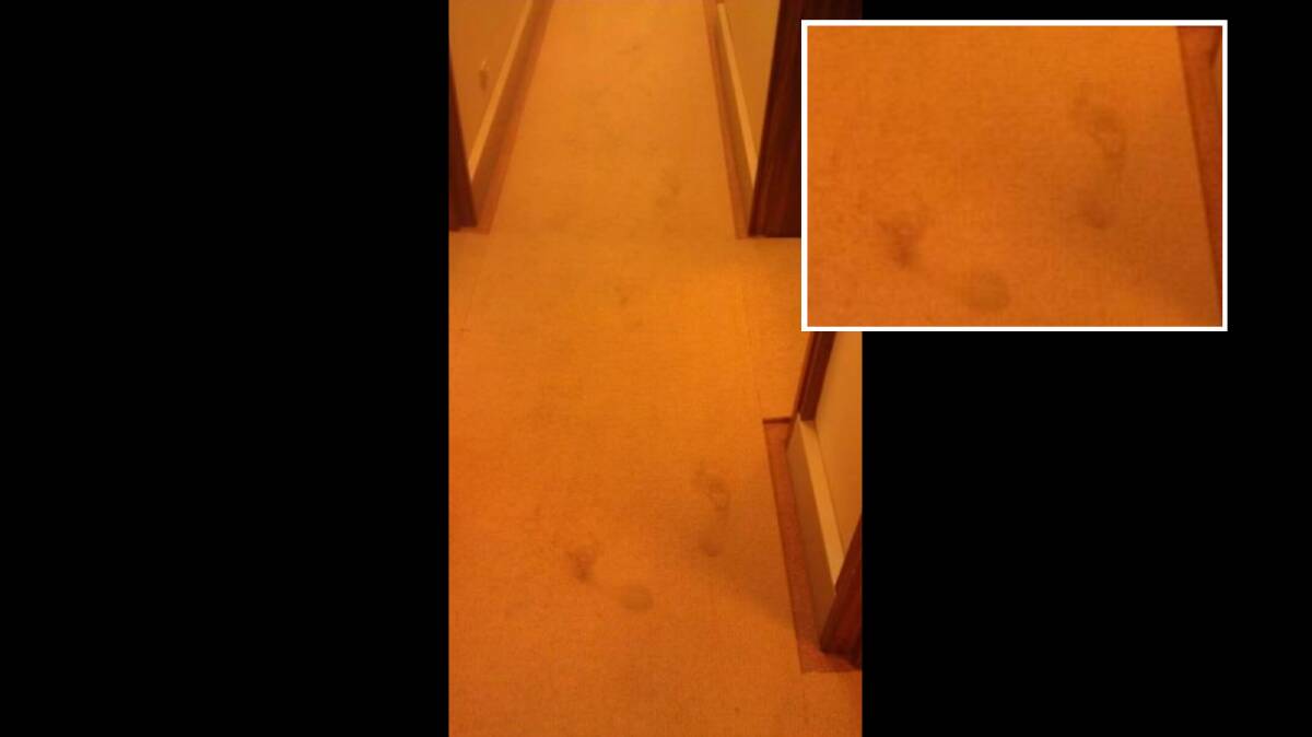 The grainy image of the mysterious footprints at Old Parliament House taken in 2014. Picture supplied