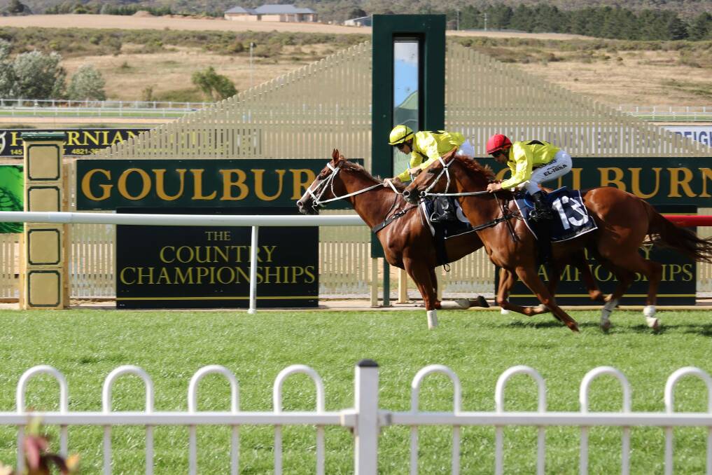 The Goulburn and District Race Club will host a Country Championships Wildcard Qualifying race. File picture. 