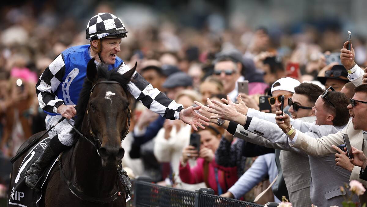 Gold Trip won the Melbourne Cup. Picture Getty Images