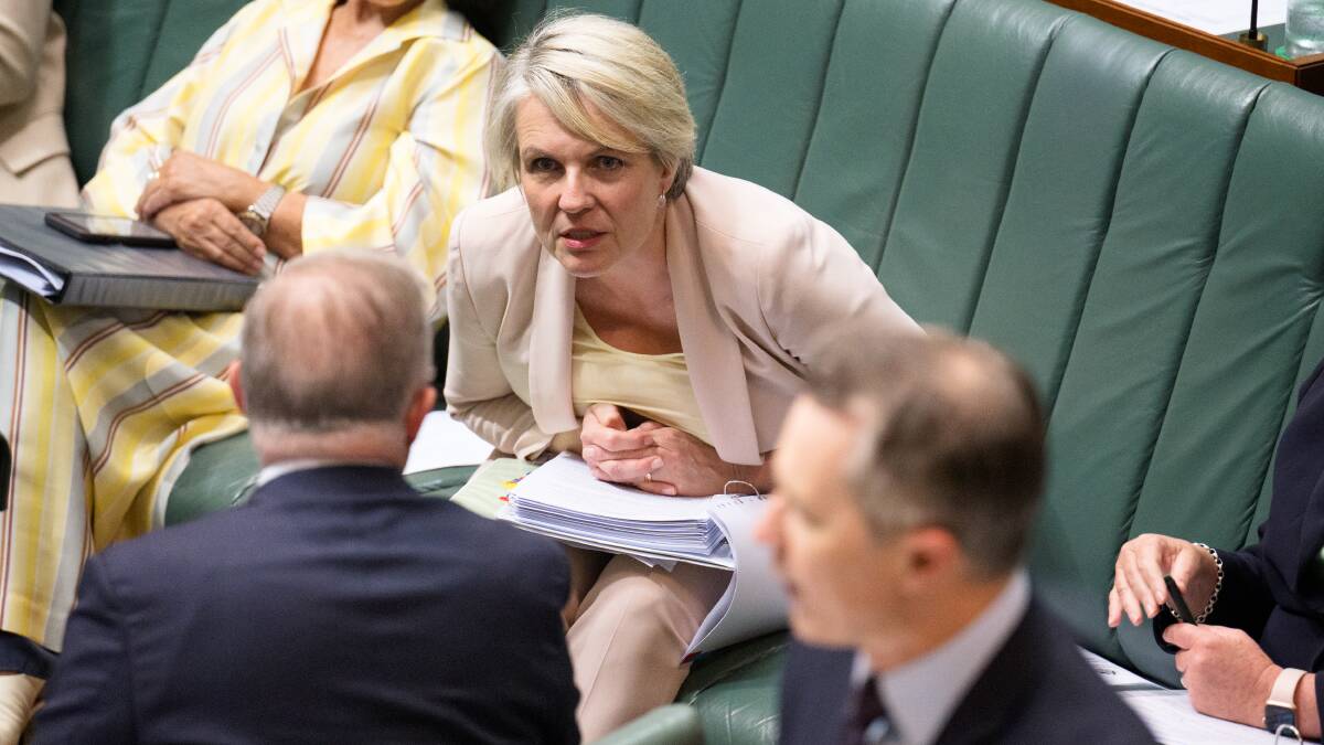 Tanya Plibersek was stupidly sidelined by Anthony Albanese. Picture by Sitthixay Ditthavong