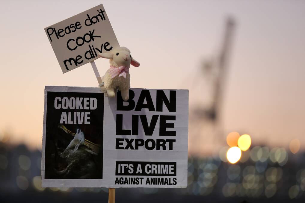 Protests at a WA port shipping live exports in 2020. Picture Getty Images