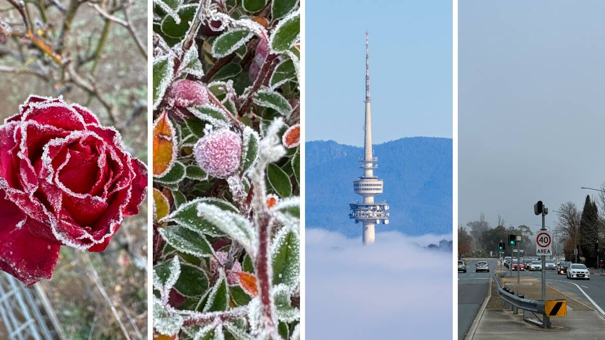 Temperatures dipped will below freezing in Canberra on Wednesday morning. Pictures by Gary Ramage