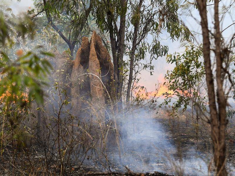 Victoria is expanding a program of controlled burns by Indigenous groups across the state. (Jono Searle/AAP PHOTOS)