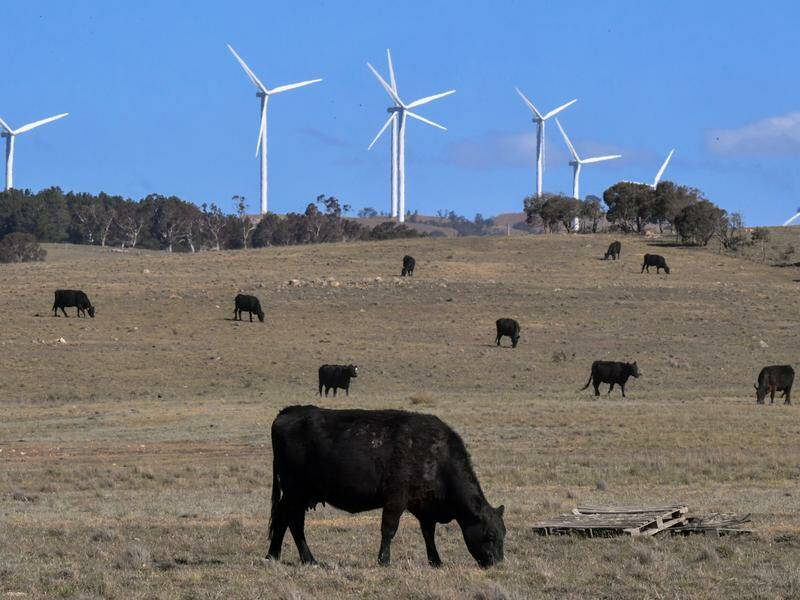 A new wind farm has been given the green light in Palmer, 60km east of Adelaide. Photo: Mick Tsikas/AAP PHOTOS