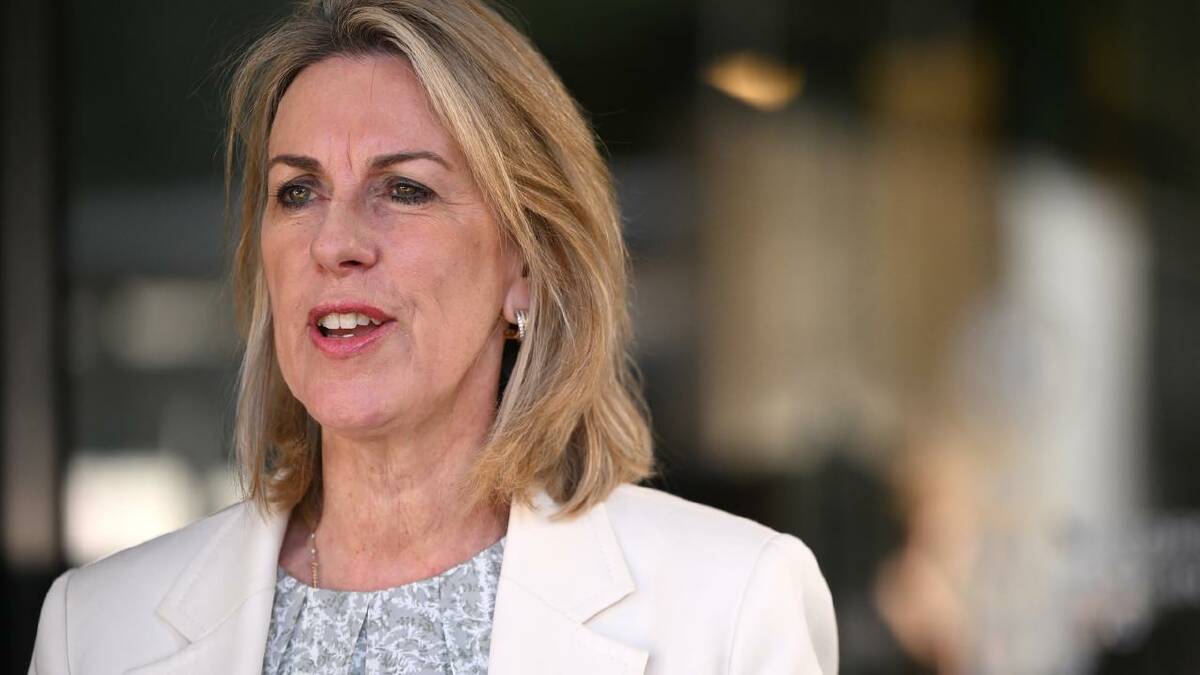 Opposition health spokeswoman Georgie Crozier says the department is in "chaos". (Joel Carrett/AAP PHOTOS)
