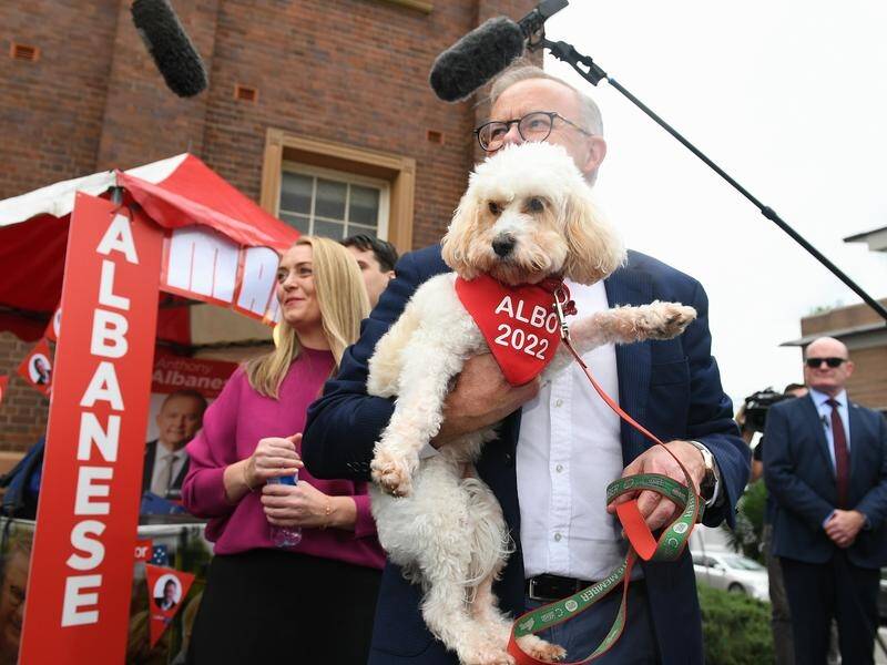 The Nationals have proposed dispensing of Anthony Albanese's seat of Grayndler, in Sydney. (Lukas Coch/AAP PHOTOS)