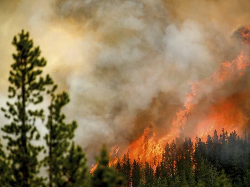 People near the Jasper National Park have been told to leave because of the dangers of wildfires. Photo: AP PHOTO