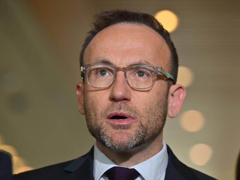 Greens leader Adam Bandt says coal and gas corporations should not be compensated for price caps. (Mick Tsikas/AAP PHOTOS)